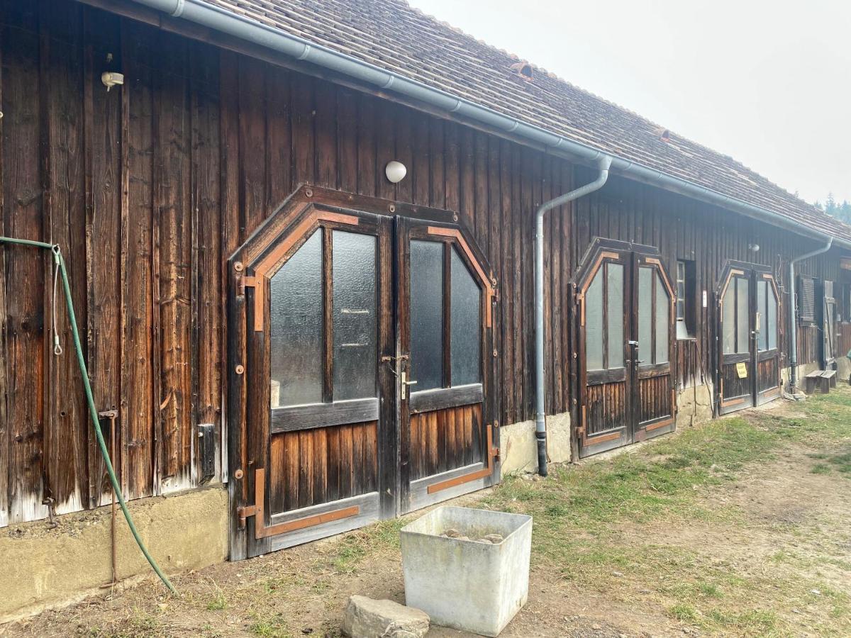 Bio Hofgut Wiggenweiler Apartman Bermatingen Kültér fotó
